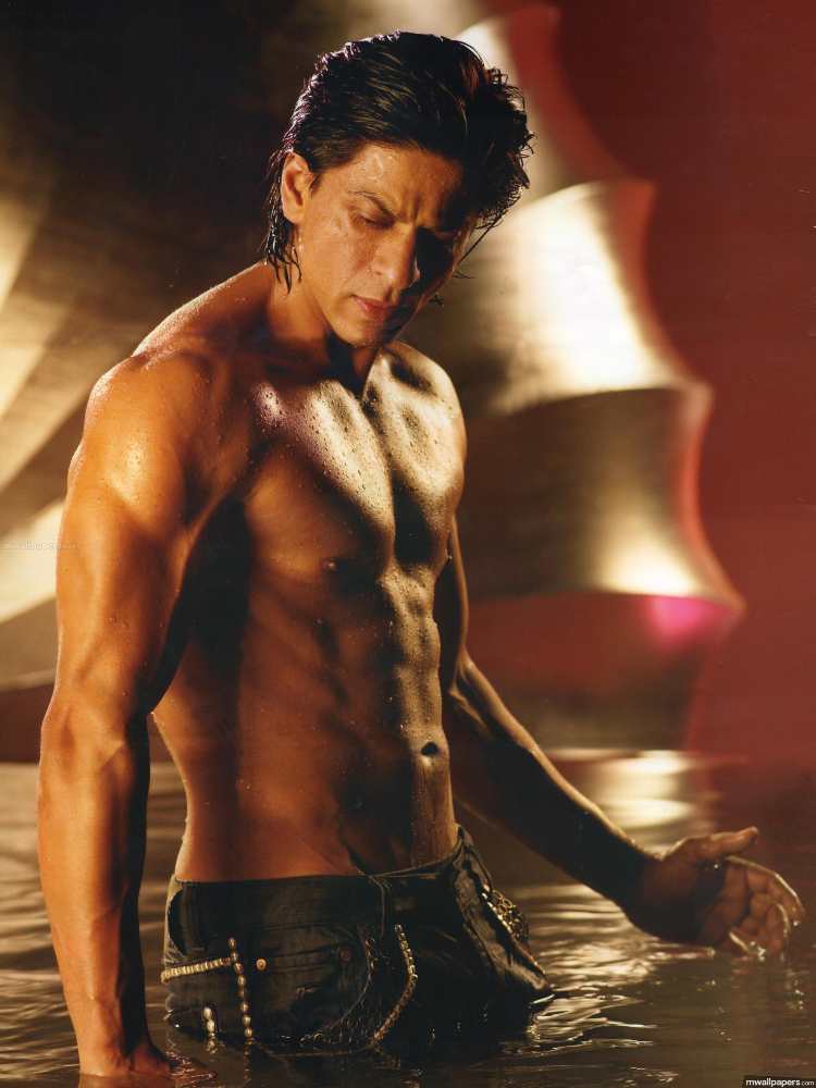 SRK Body Handsome Shahrukh Khan biography