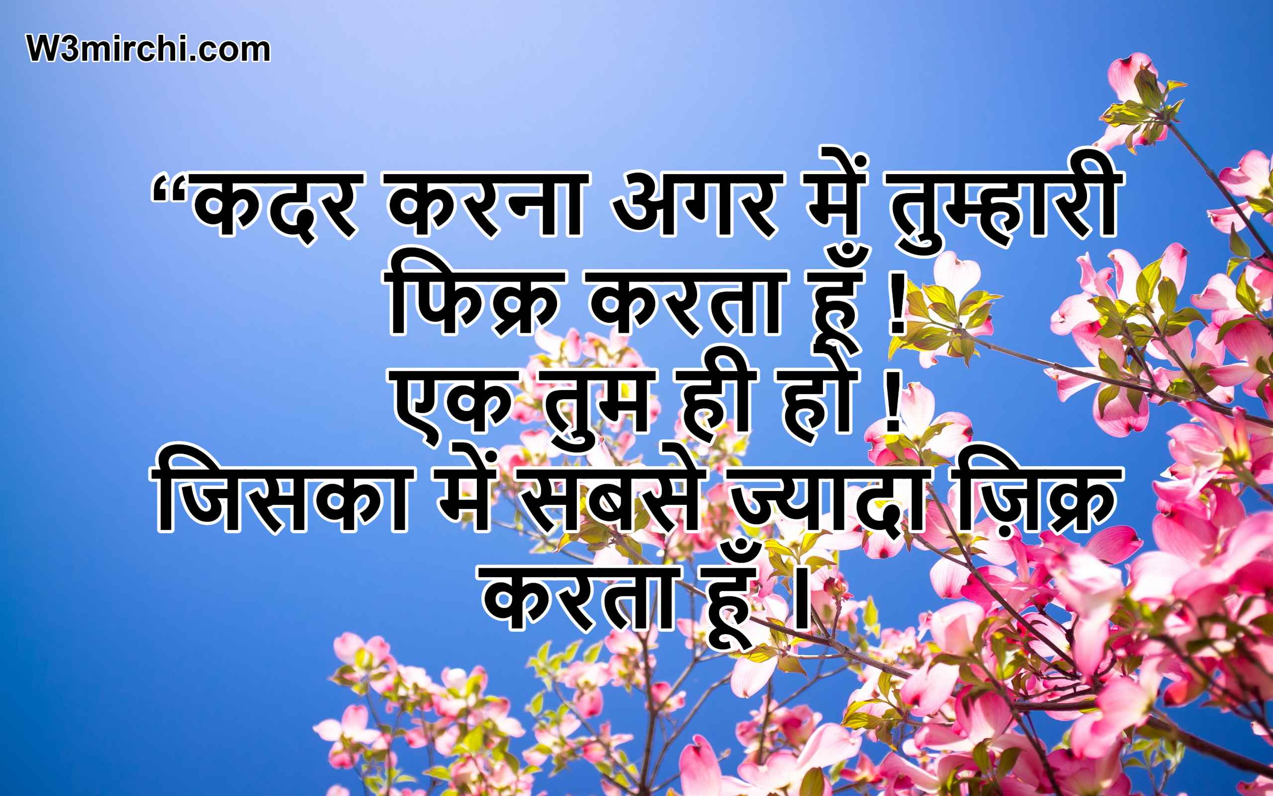 Shayari In Hindi Text 