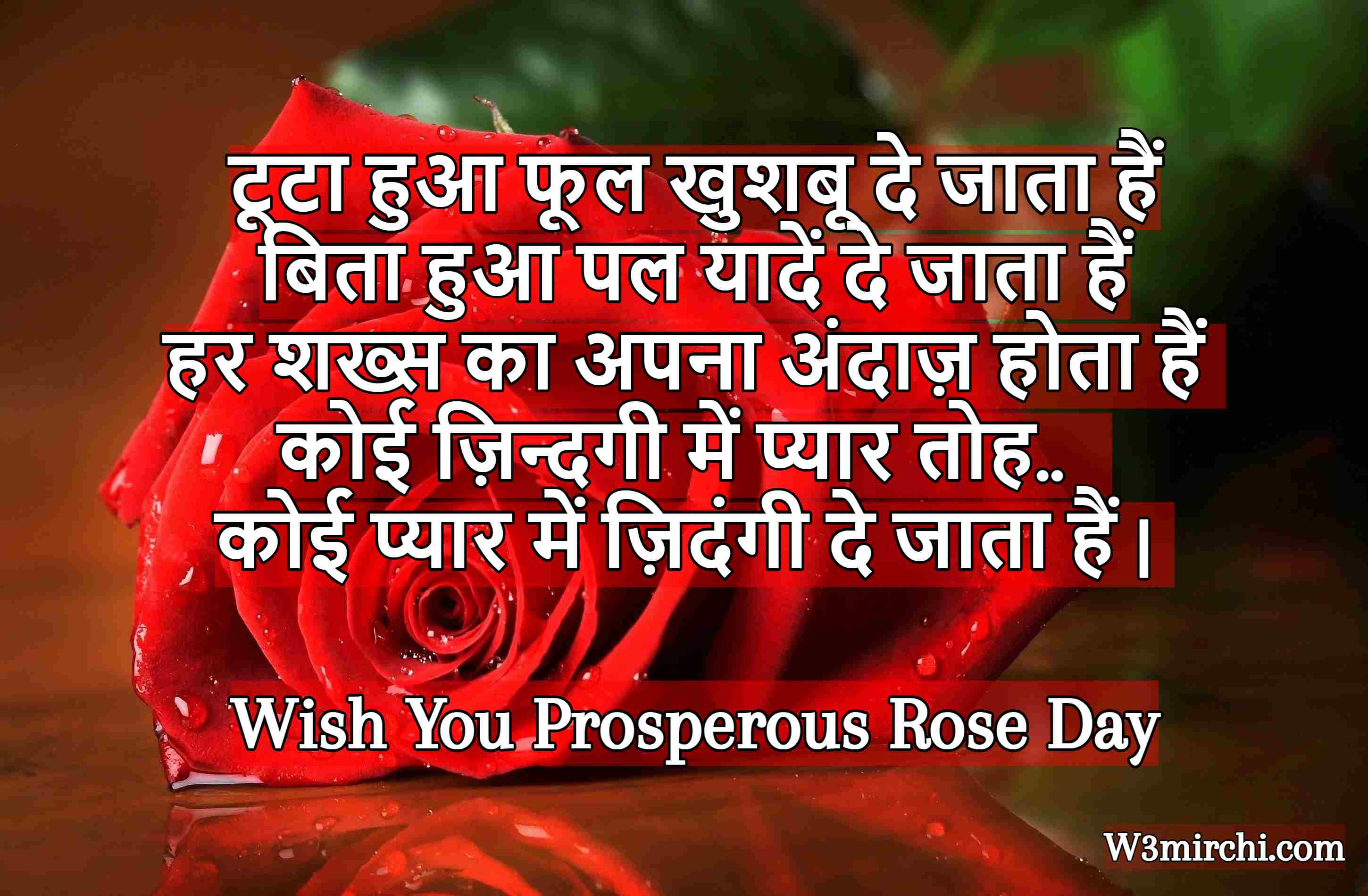 Rose Day Shayari In Hindi 2023 Rose Day Shayari 