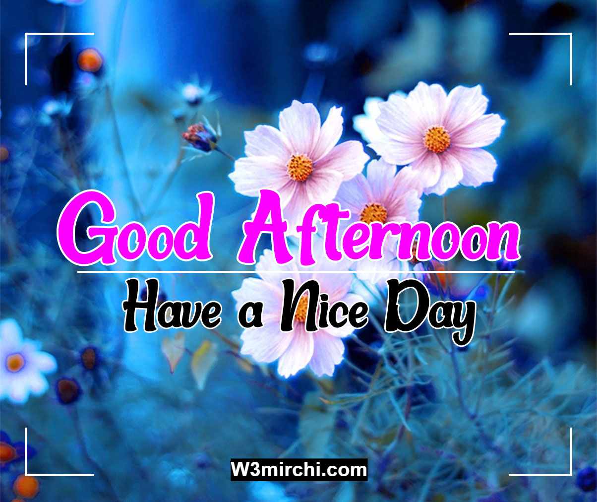 Good Afternoon Hd Images - Good Afternoon