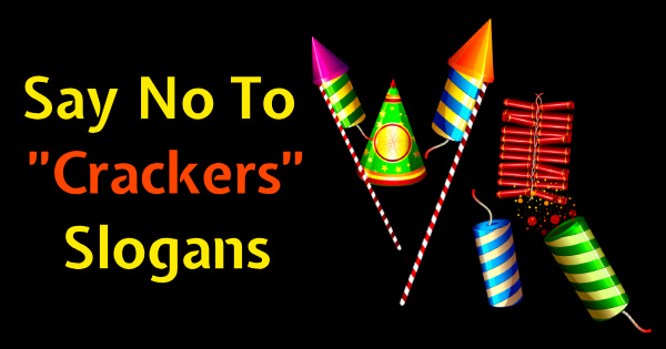 powerpoint presentation on say no to crackers